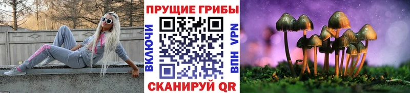 Псилоцибиновые грибы Cubensis  цена   Бузулук 