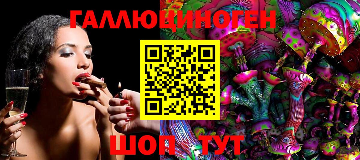 Галлюциногенные грибы Psilocybe Бузулук
