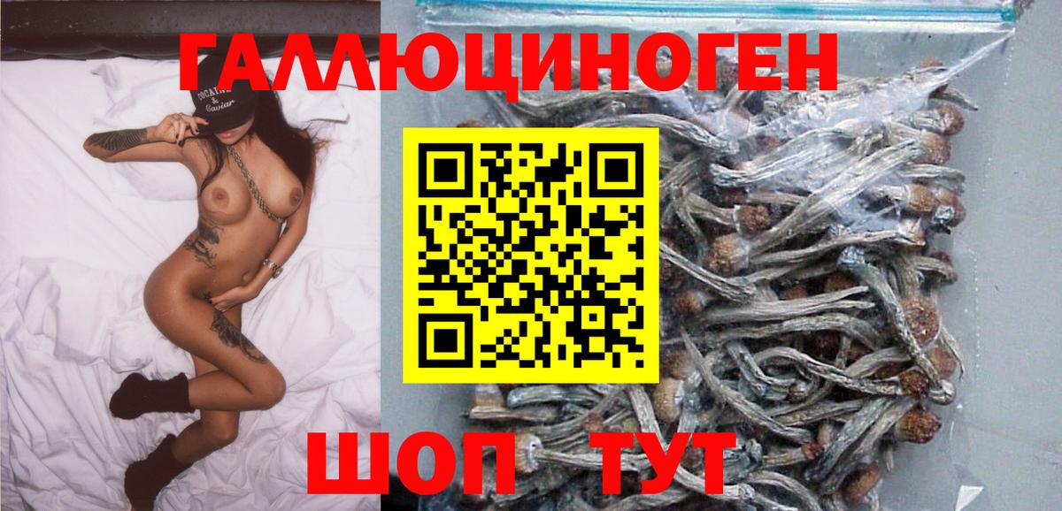 Галлюциногенные грибы MAGIC MUSHROOMS  Псилоцибиновые грибы Cubensis  Бузулук  Вход с VPN 